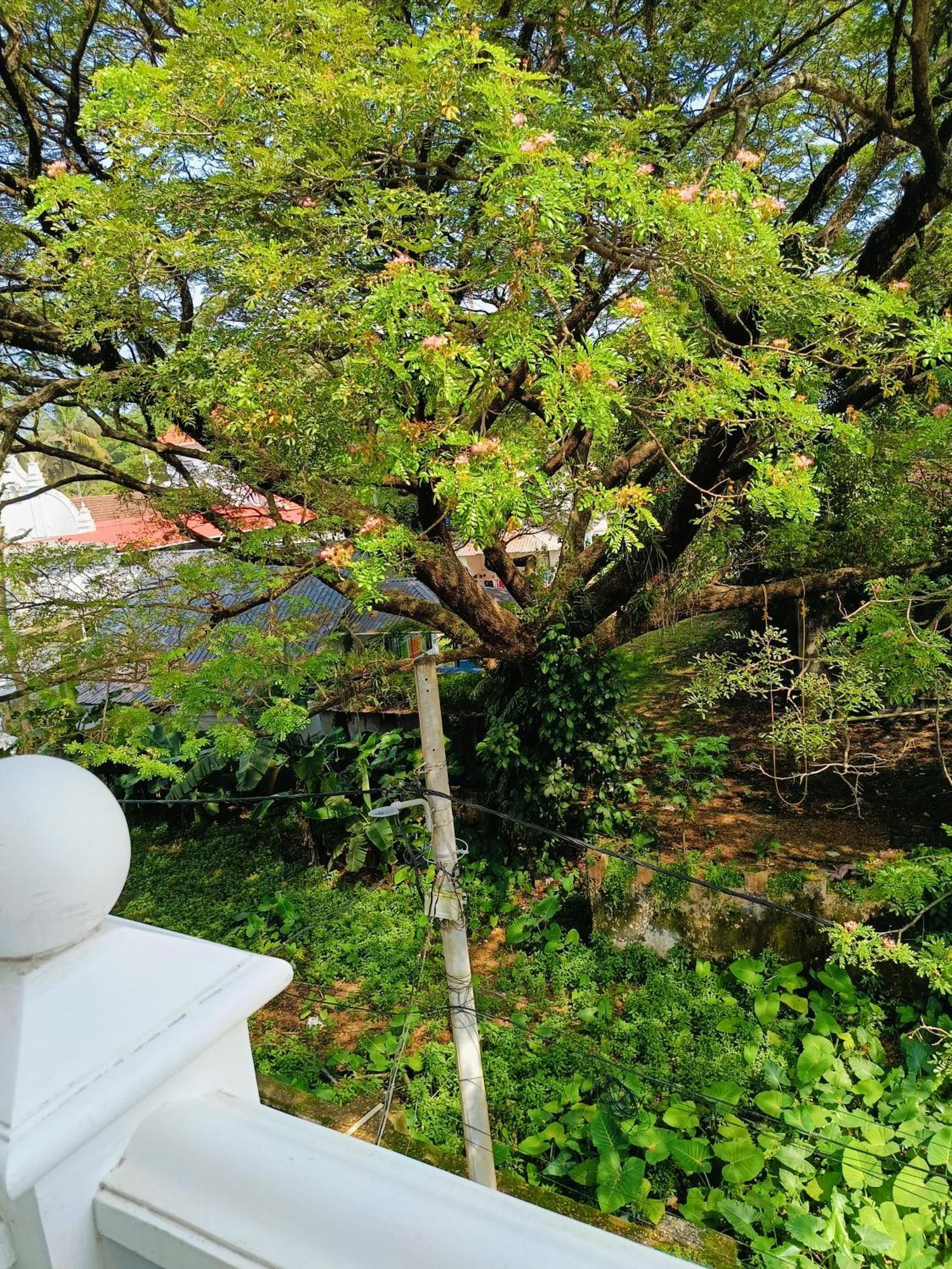 Elzas Fort Inn Kochi Room photo